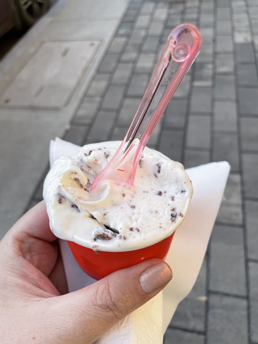 Gluten-Free at Shy Guy Gelato