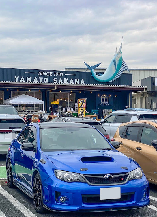 インプレッサ WRX STIの真正面ショット・梅とスイセンと河津桜💦・稲フォルニア🌴・白鳥🦢到来💨・teamBOXERに関するカスタム事例の投稿画像7枚目
