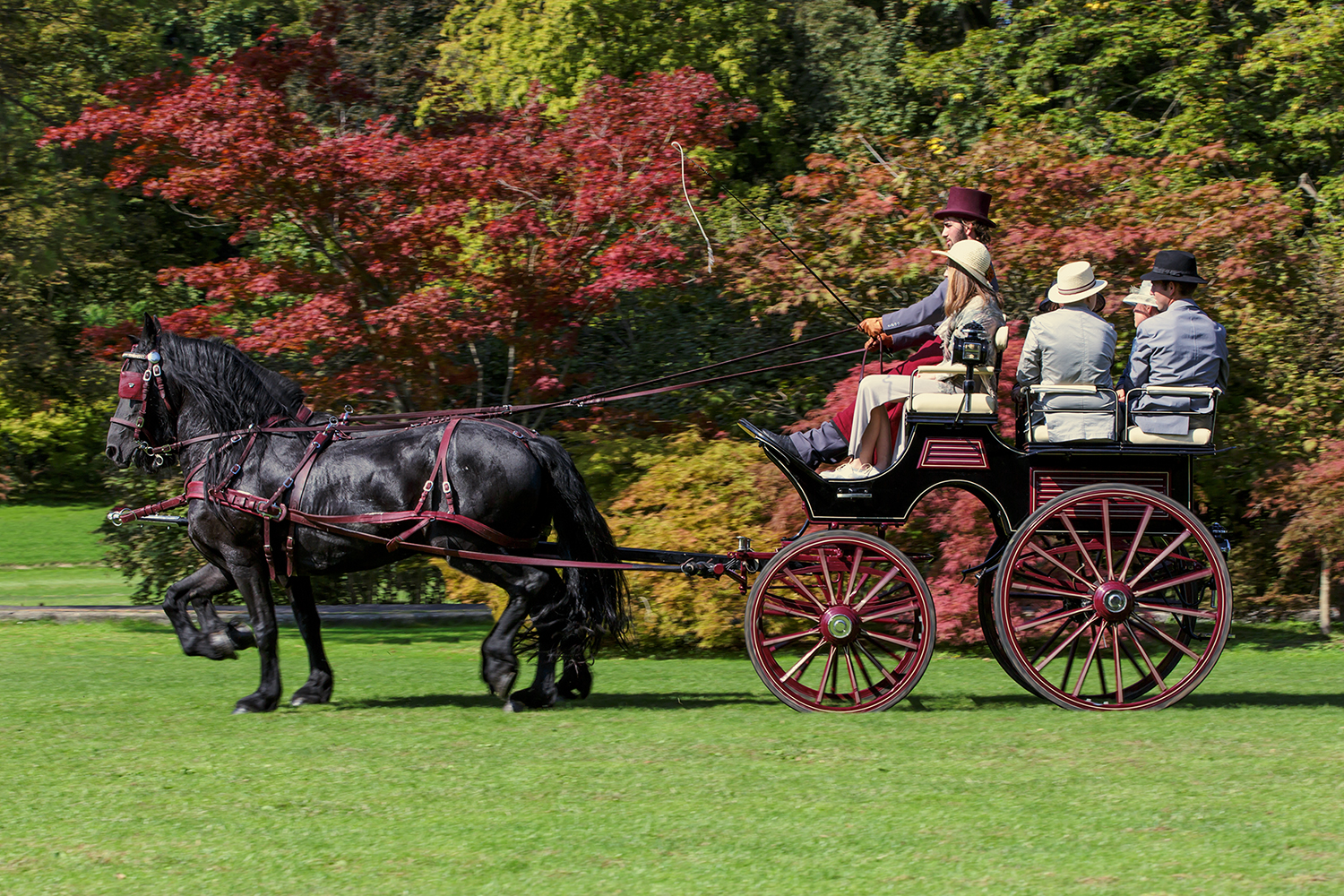 Autunno in carrozza di Eagle