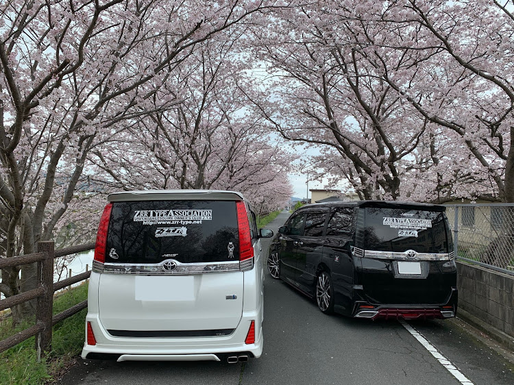 ヴォクシーの我流・桜に関するカスタム事例の投稿画像3枚目