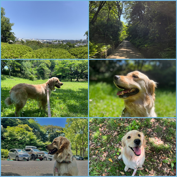 デリカD:5の富岡総合公園・愛犬と一緒に・Nosタンク・Nosタンクボトル・横浜市の公園に関するカスタム事例の投稿画像2枚目