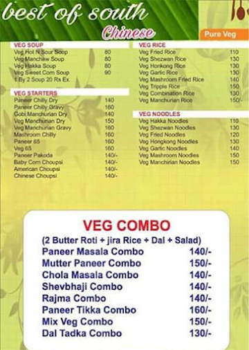 Best Of South Pure Veg menu 