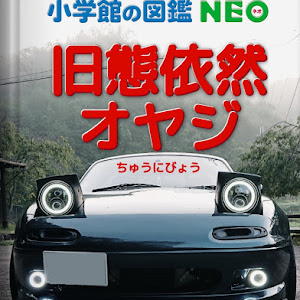 ロードスター NA8C