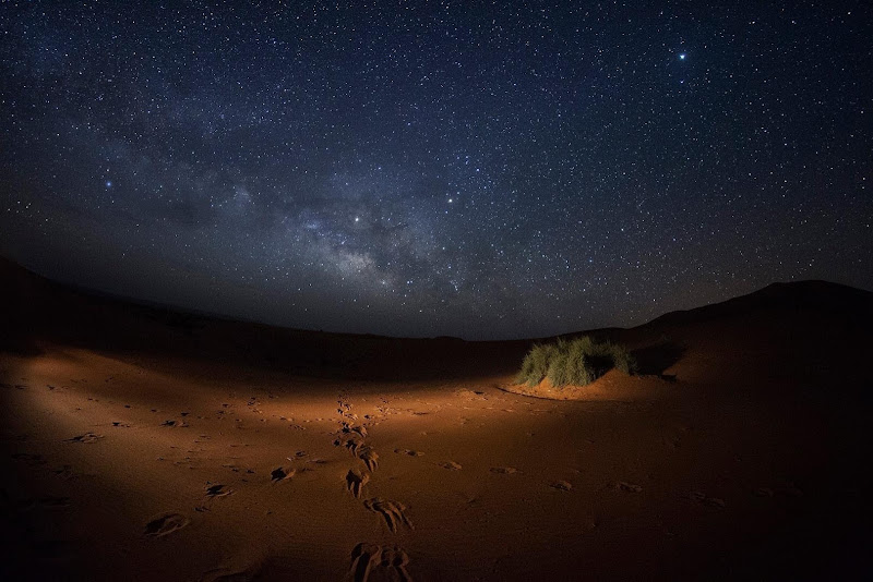 La coperta di stelle di Alicante