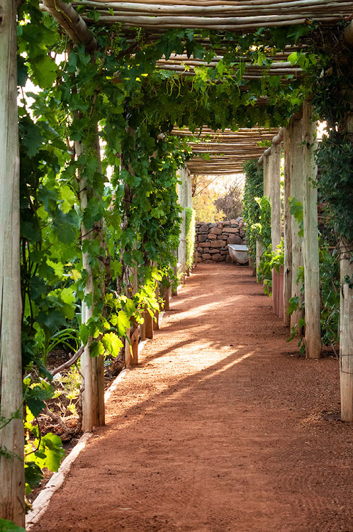 Arthur Mennigke restored and rejuvenated the remarkable gardens.