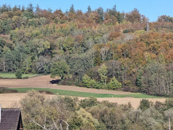 terrain à Hirsingue (68)