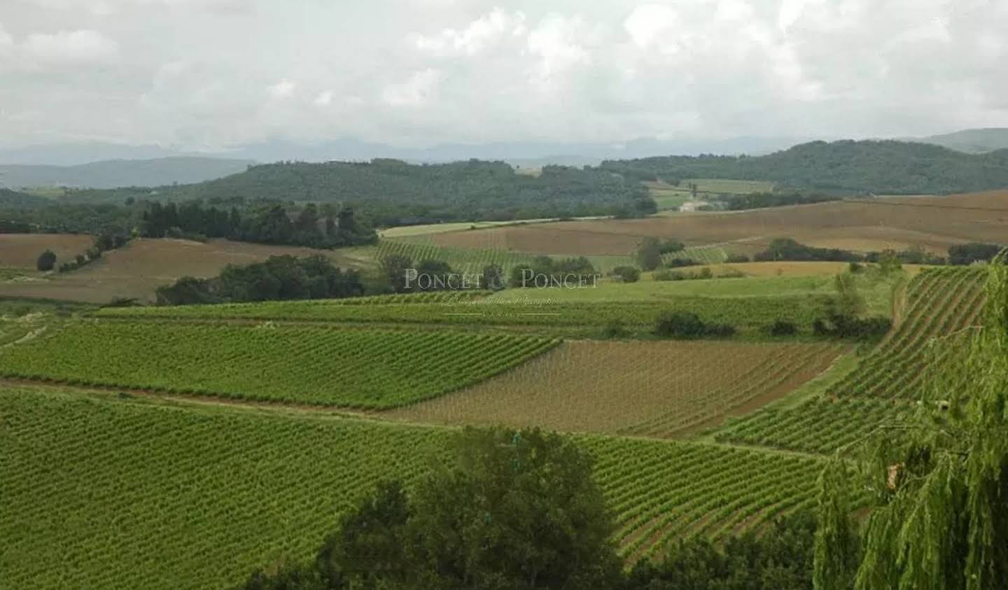 Vineyard with outbuildings Limoux