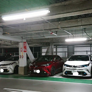 C-HR ZYX10