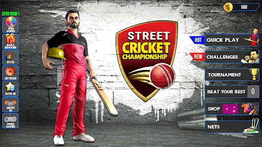 Screenshot Street Criket-T20 Cricket Game