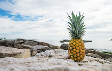 Pineapple Wallpapers HD Theme small promo image