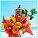 FlowerWorld icon