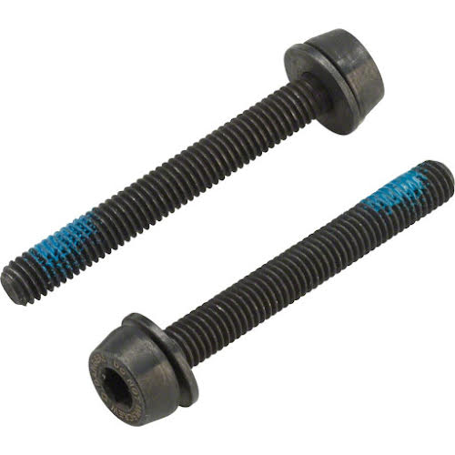 Campagnolo H11 Disc Caliper Mounting Screws, 2x39mm, for 30-34mm Rear Mount Thickness