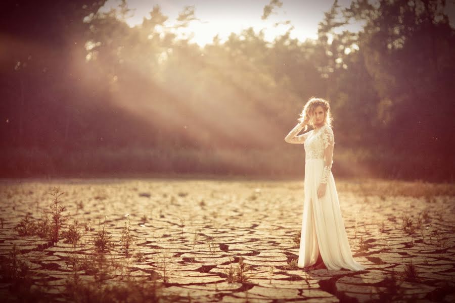 Fotografo di matrimoni Krzysztof Langer (regnal). Foto del 17 luglio 2015