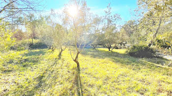 terrain à Montauroux (83)