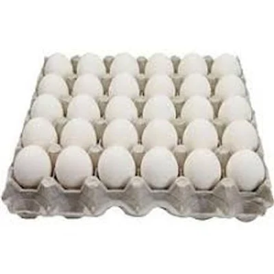 EDEN Eggs Eden Perfeggs Pack - 1 pc