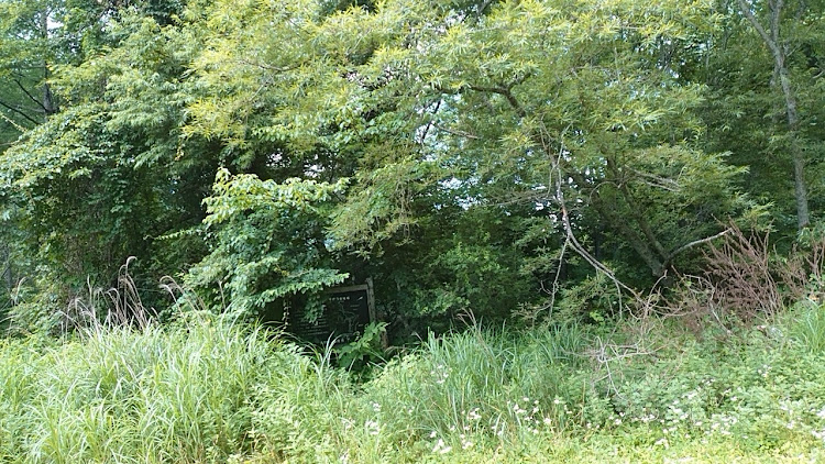 ヴォクシーのクワガタ採集・ミヤマクワガタ・熱中症に気をつけて!!・熊出没？・クワガタハンターに関するカスタム事例の投稿画像3枚目