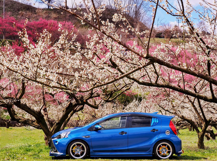 アクアG'sの梅の花と愛車・白とピンクのコラボレーション・桜はまだ先に関するカスタム事例の投稿画像7枚目