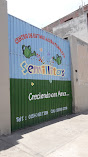 Centro De Estimulación Temprana Semillitas