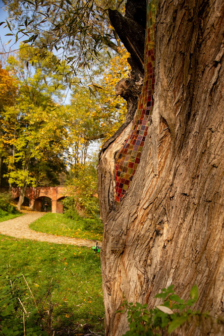 Park Fosa, Stoki Cytadeli