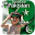 Pak Flag On Face 2017 Download on Windows