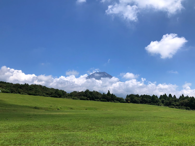 の投稿画像30枚目