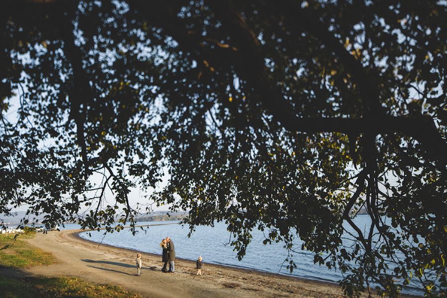 Photographe de mariage Vlad Nikiforov (homeofthevain). Photo du 30 octobre 2014