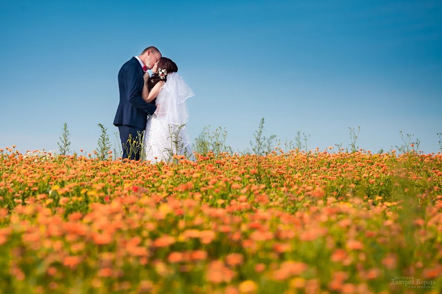 Wedding photographer Dmitriy Korol (icor). Photo of 23 July 2018