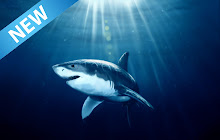 Shark Wallpaper small promo image