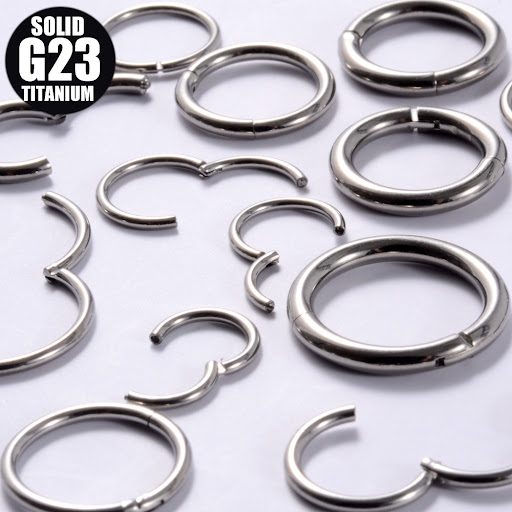 Title 4, G23 Titanium Piercing Nose Ring Seamless Earrin...