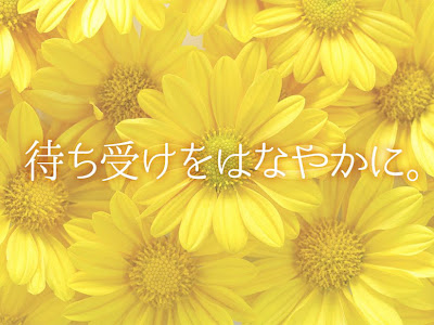 【トップレート】 花画像高画質