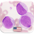 Hematology Quiz3.8.7z