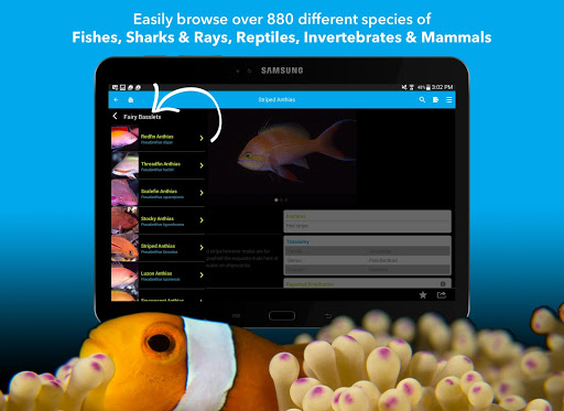 免費下載書籍APP|Coral Sea Fish Guide app開箱文|APP開箱王