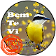 Download Canto Bem te vi For PC Windows and Mac 1.0