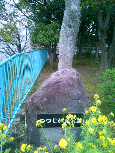 つつじヶ丘公園