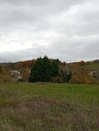 terrain à Ferrières-sur-Sichon (03)