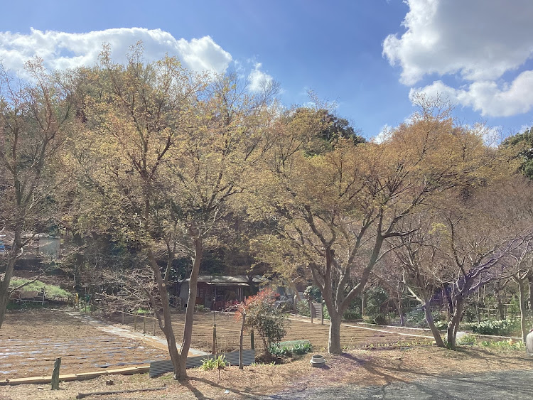 コペンの日本の四季を楽しみましょう！春爛漫！最高だね！・春爛漫！季節を楽しみましょう！最高だね！・たわい無い事柄に感謝！最高だね！・たわい無い平凡な暮らしにこそ幸せ有り！最高だね！・己で楽しさを生み出す事こそ幸せなり！に関するカスタム事例の投稿画像52枚目