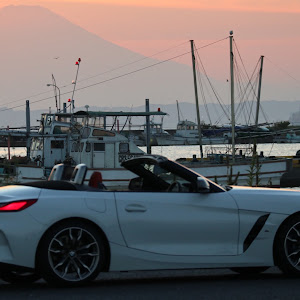 Z4 ロードスター G29