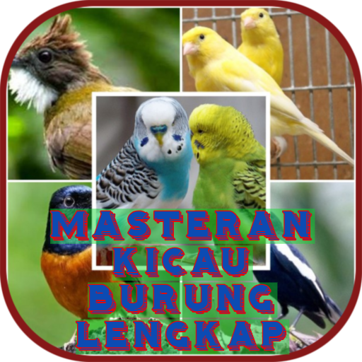Masteran Kicau Burung Lengkap OFFLINE