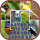 Download Masteran Kicau Burung Lengkap OFFLINE For PC Windows and Mac