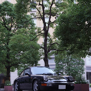 964 カレラ2