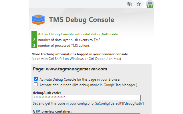 Tag Manager Server Debug Console Preview image 3