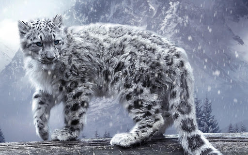 Snow Leopard Live Wallpaper