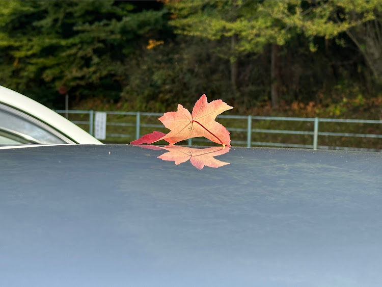 キャストの今年の冬タイヤは？・百年公園へ散歩・キャンバス集まり見学・はいお爺ちゃんですに関するカスタム事例の投稿画像4枚目