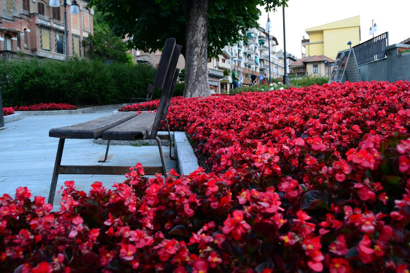 CAMMINANDO TRA IL ROSSO di aeglos