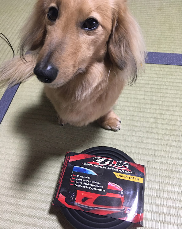 S660のEZLIP・DIYに関するカスタム事例の投稿画像2枚目