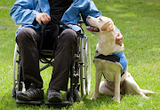 International Assistance Dog Week recognises the life-changing services performed by guide dogs.