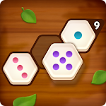 Number Puzzle Hexa Apk