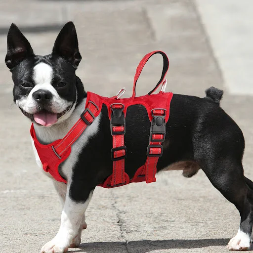 Reflective Dog Harness Vest Mesh Nylon Pet Vest No Pull Adjustable Harness for Small Medium Large Dogs With Handle Pitbu