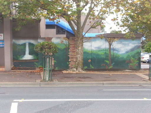 Rainforest Mural