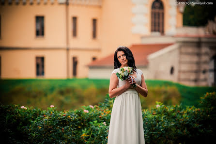 Photographe de mariage Olga Zamelyuk (tigra). Photo du 11 décembre 2017